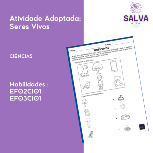 Atividade Adaptada Seres Vivos