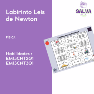 Labirinto Leis de Newton