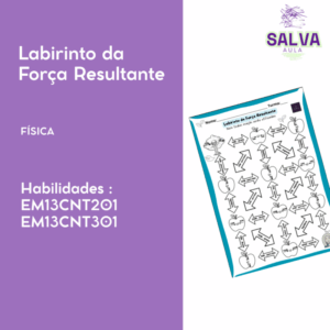 Labirinto da Força Resultante
