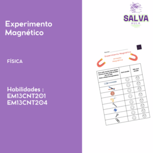 Experimento Magnético